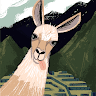 NeetCompanion