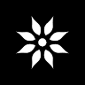 Aident AI