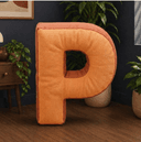 Placy AR App