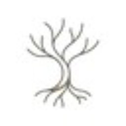Roots - Calm Mind Wisdom