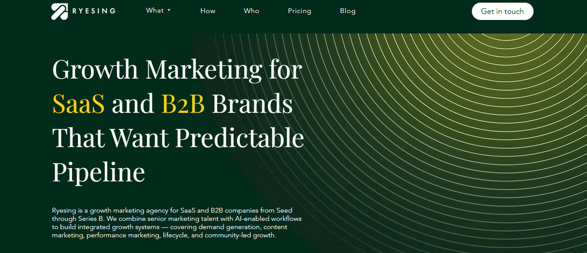 Ryesing Digital | Growth Marketing Agency screenshot