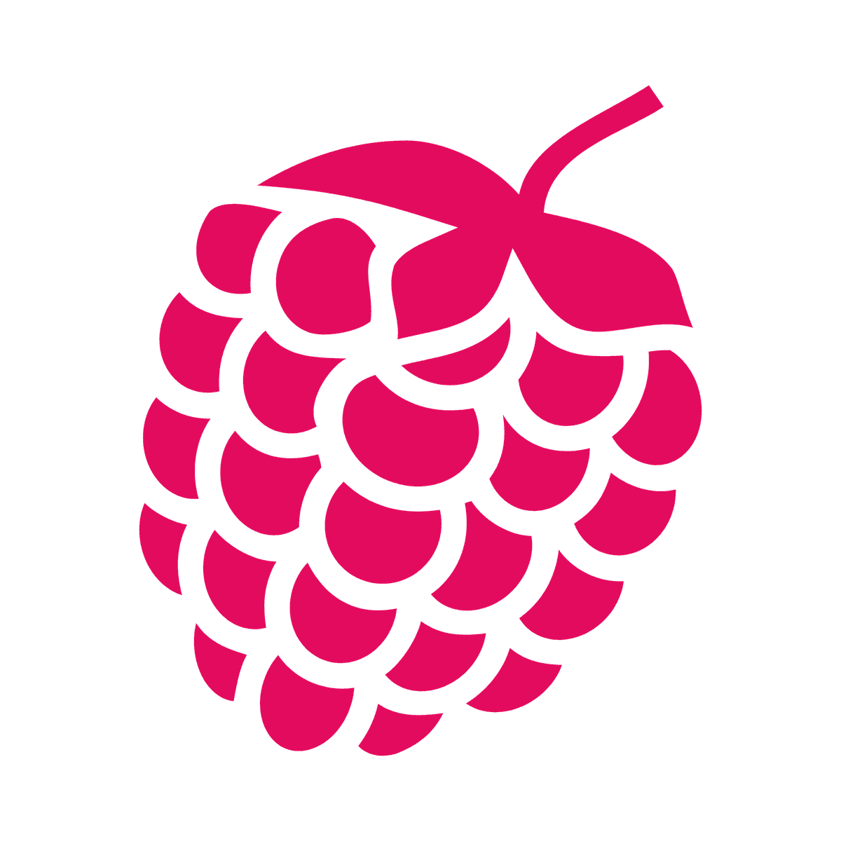 Lamponi