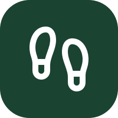 Weighted Walking Tools